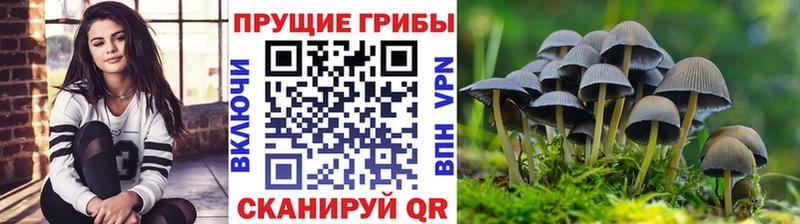 Псилоцибиновые грибы мухоморы Красноярск
