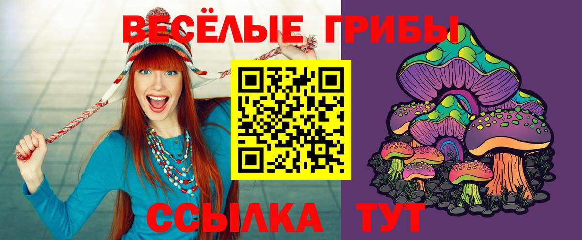 Галлюциногенные грибы мухоморы Красноярск