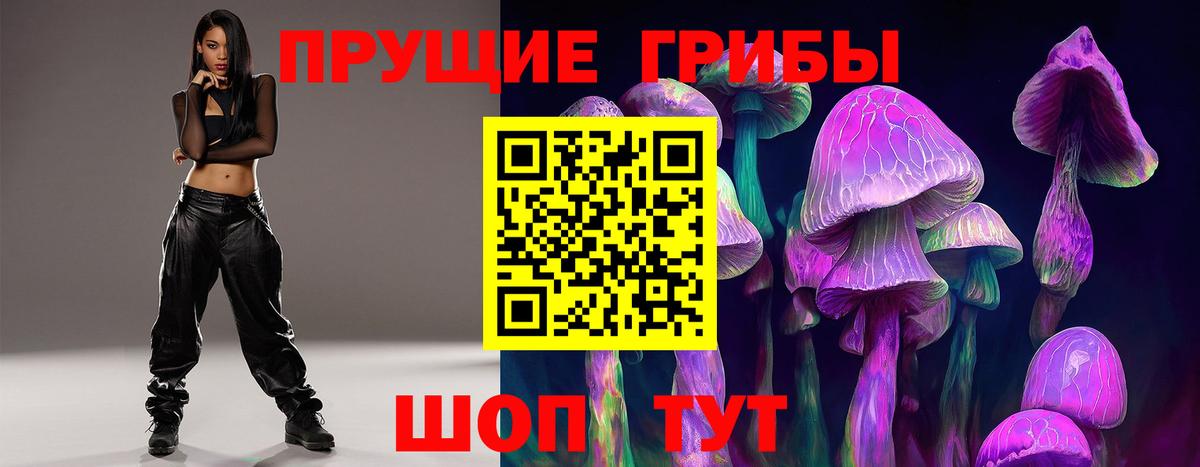 Красноярск  закладки  Вход с VPN  Псилоцибиновые грибы прущие грибы  Галлюциногенные грибы Psilocybe 